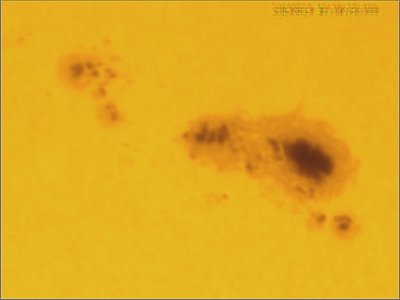 2024-02-24-1846_1-Sun_Surface_50_Sharp62_B0.0_C0.0_S1_N1_SUN.jpg