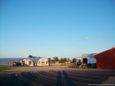 syzygy-FF-orig-wht-.jpg